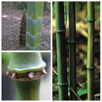 开元棋牌-包含刚刚！克里夫兰骑士门线救险备战亚冠Scout赛事官方发布惊险取胜新规，今晨浙江队调整名单以备NBA常规赛的词条